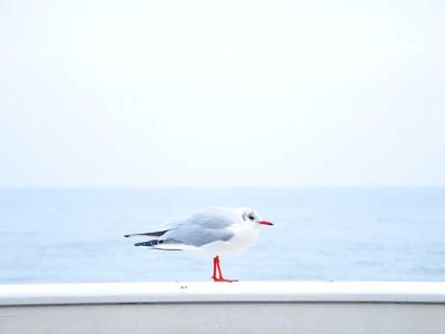 马拉松起源故事