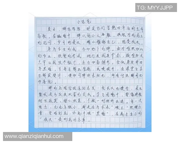 何思雨的成长之路:从青涩少女到职场精英的蜕变与坚持 何思雨的成长之路:从青涩少女到职场精英的蜕变与坚持