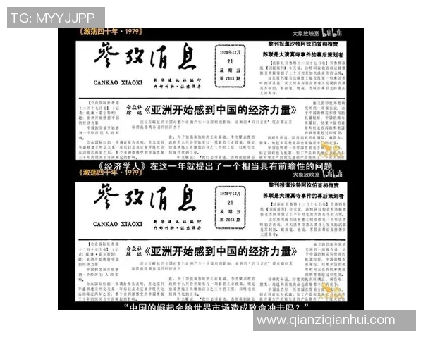 张宁在国际舞台上的崛起与成就探析：从学术到实践的多重影响力