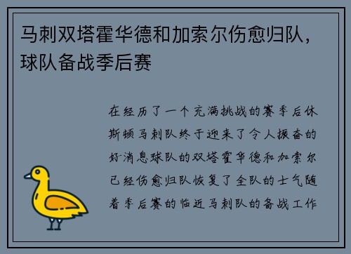 马刺双塔霍华德和加索尔伤愈归队，球队备战季后赛